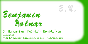 benjamin molnar business card